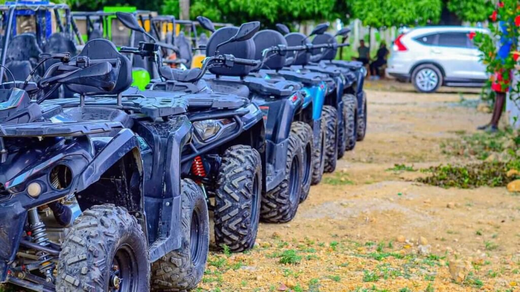 Unforgettable Tours & Transfers | Dominican Dream Vacation - Discover the Dominican Republic 2025