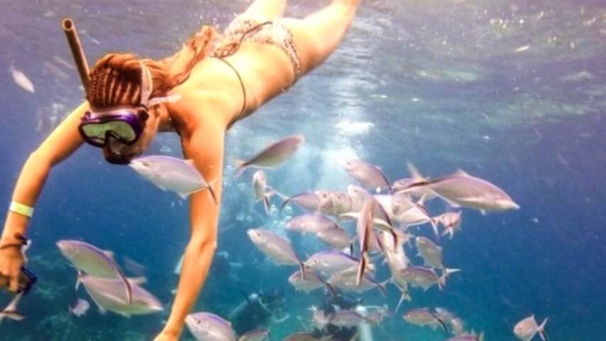 Agona Travel | Best Punta Cana Airport Transfers and Tours 2025