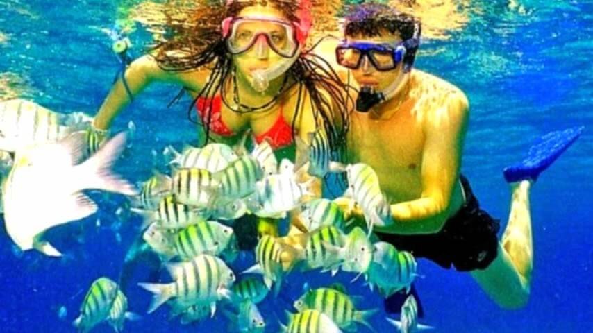 Agona Travel | Best Punta Cana Airport Transfers and Tours 2025
