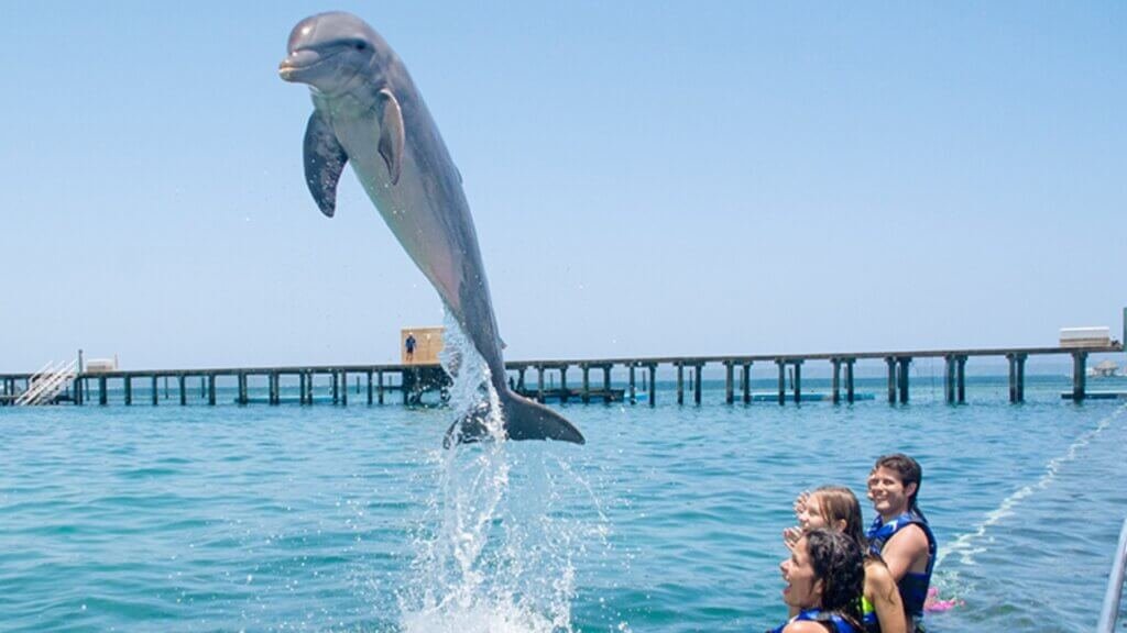 Agona Travel | Best Punta Cana Airport Transfers and Tours 2025