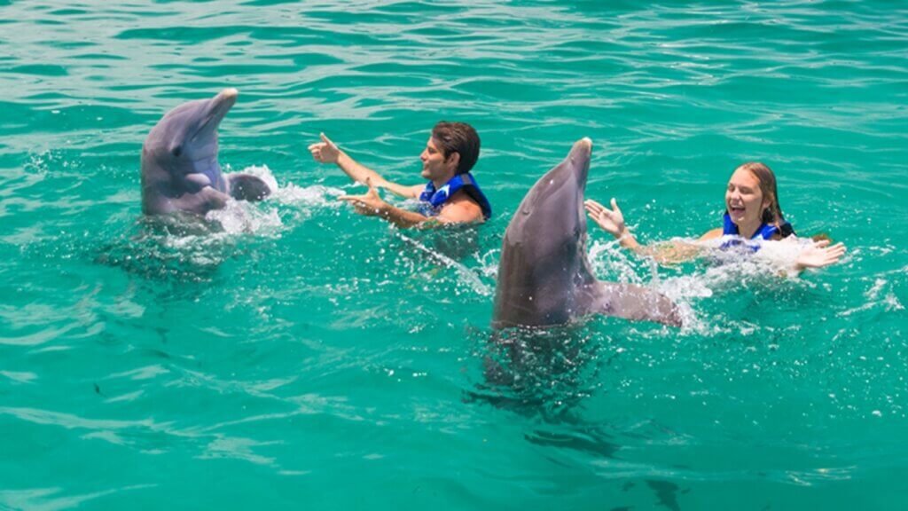 Agona Travel | Best Punta Cana Airport Transfers and Tours 2025