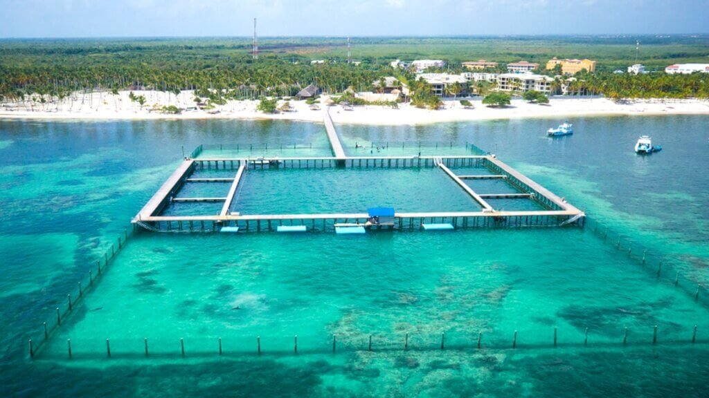 Agona Travel | Best Punta Cana Airport Transfers and Tours 2025