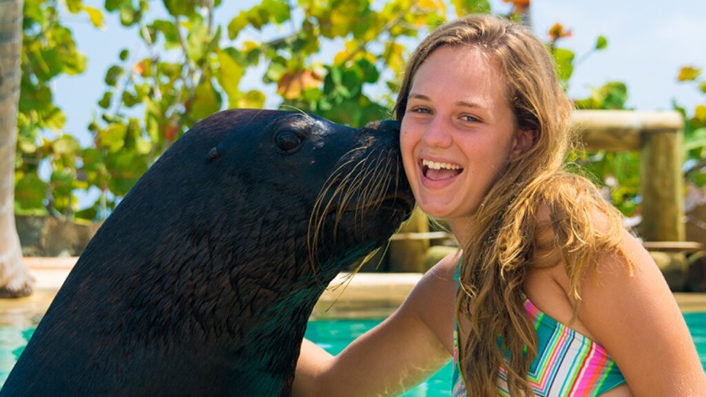 Agona Travel | Best Punta Cana Airport Transfers and Tours 2025