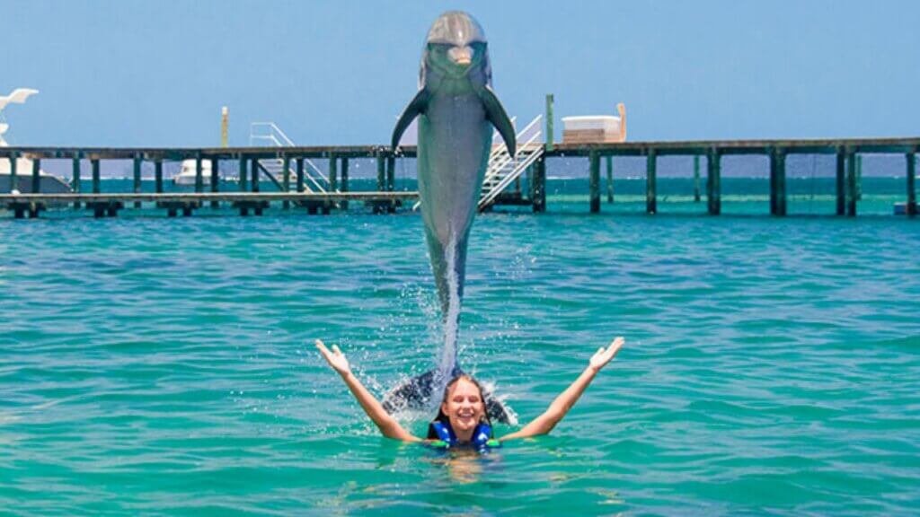 Agona Travel | Best Punta Cana Airport Transfers and Tours 2025