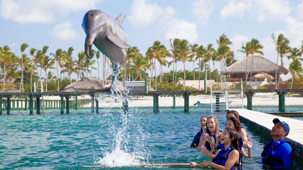 Agona Travel | Best Punta Cana Airport Transfers and Tours 2025