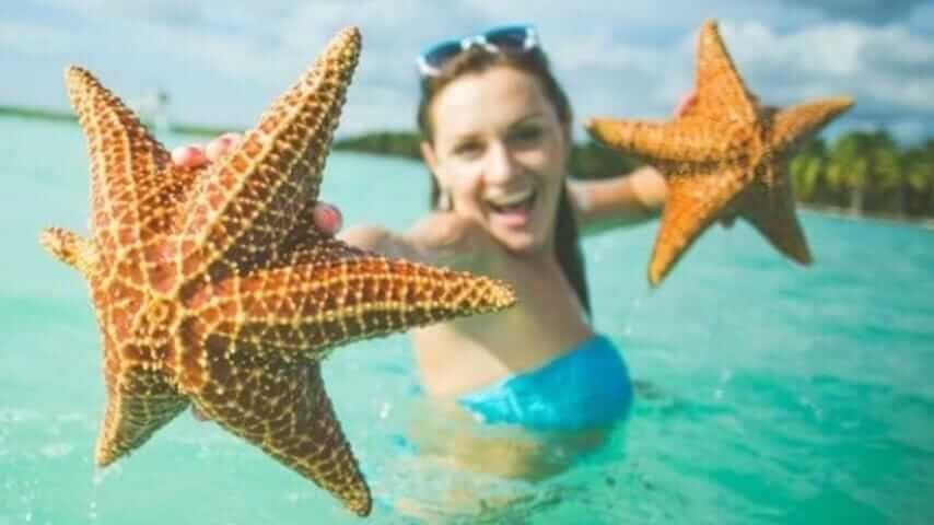 Unforgettable Tours & Transfers | Dominican Dream Vacation - Discover the Dominican Republic 2025