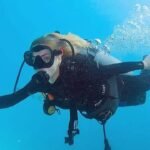 Agona Travel | Best Punta Cana Airport Transfers and Tours 2025