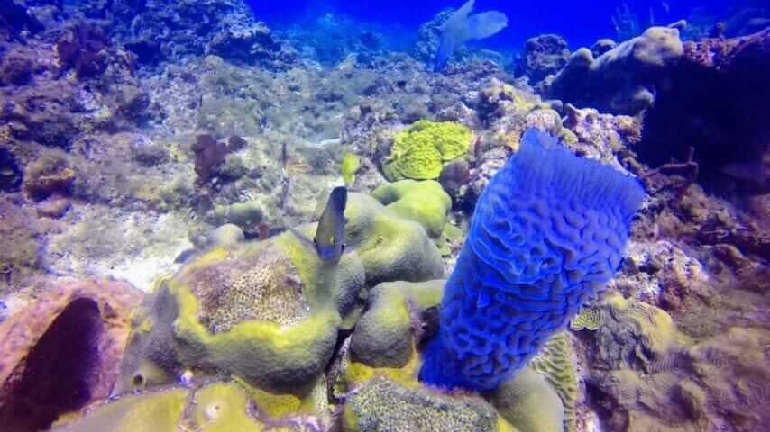 Agona Travel | Best Punta Cana Airport Transfers and Tours 2025