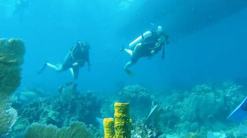 Agona Travel | Best Punta Cana Airport Transfers and Tours 2025