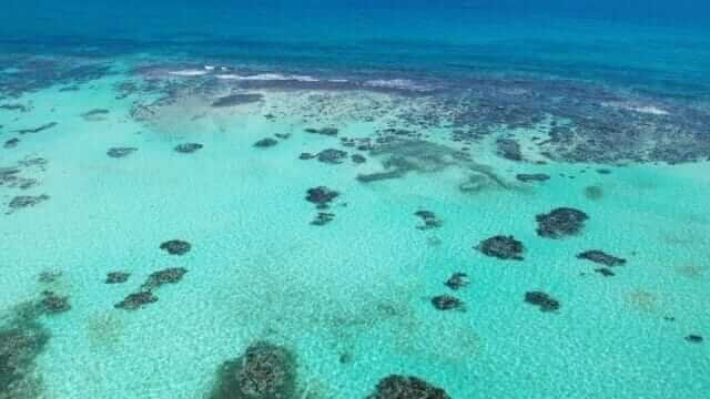 Unforgettable Tours & Transfers | Dominican Dream Vacation - Discover the Dominican Republic 2025