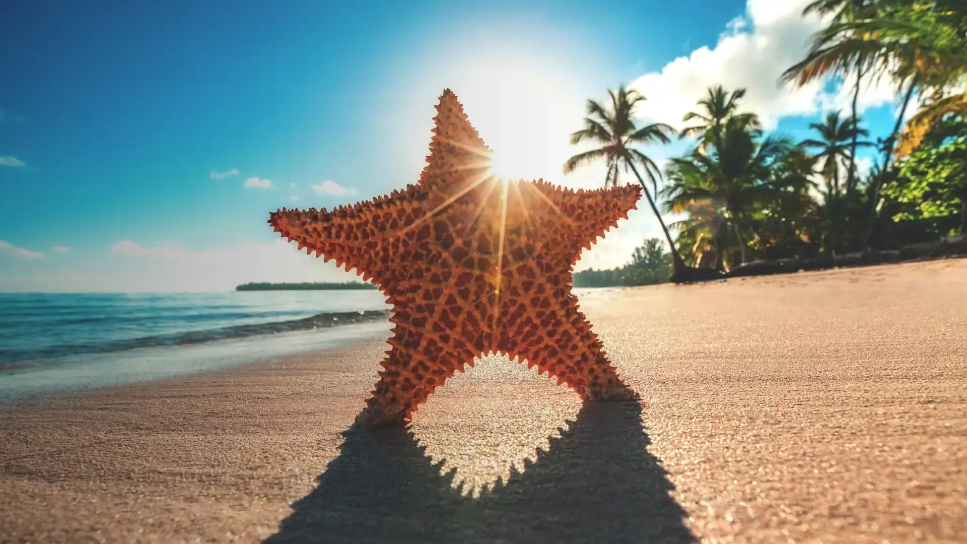 Agona Travel | Best Punta Cana Airport Transfers and Tours 2025